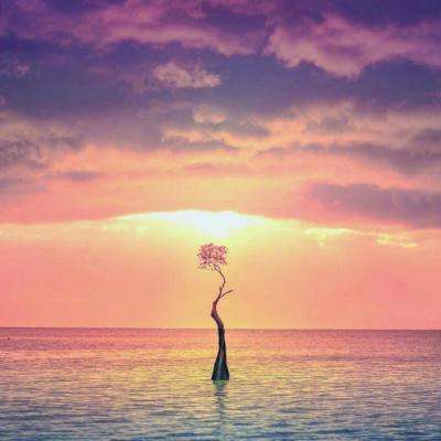 九游娱乐官网leyu乐鱼体育全站app