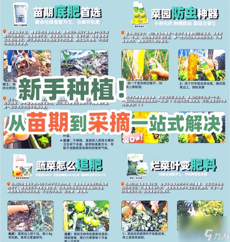 以全民农场怎么种菜的乐趣为主题的游戏攻略探索全民农场的农作乐趣(图3)